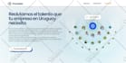 design webflow website, figma to webflow, webflow expert
