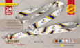 design id badge, lanyard, name card, press pass