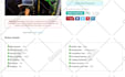 provide ready made forex broker review website