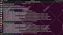 do socket programming tcp udp in c and python