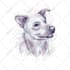 draw your pet into awesome scribble art