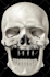do medical, dental and scientific illustrations for you