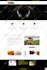 develop wordpress website or design wordpress blog