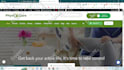 do wordpress website design and development with elementor pro