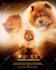 design litter announcement, stud ad, dog poster flyer