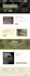design and develop wordpress website for your business