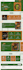 squarespace website design squarespace website redesign squarespace website