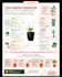 turn complex ideas into clear, modern infographic designs