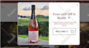 shopify website design redesign that converts visitors into paying customers