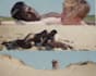color grade your video professionally