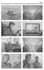 create industry standard professional storyboards