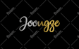 design a professional logo for online store