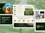 design presentation, pitch deck, powerpoint template and google slide
