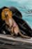 draw animals and creatures for you