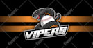 design awesome mascot logo for esports team or sports team