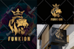 design professional custom logo design unique high quality
