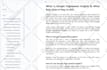 write SEO optimized content using jasper ai