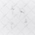 draw custom line art minimalist illustration or tattoo design