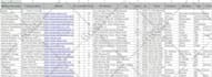 do excel data entry and web research