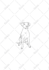 design a custom pet tattoo in fine line art from your photo