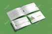 design professional business brochure