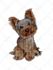 do animal portraits storybook illustrations for you
