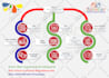 design business infographic, workflow, process flow, org chart, flowchart