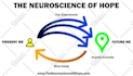 make infographic flow diagram, chart, layout in 24hr