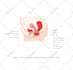 do all medical, anatomy and scientific illustration
