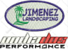 do embroidery digitizing into emb,dst,pes file in 1 hour