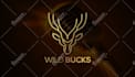 create exclusive and memorable logo design with full copyright