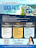 design a flyer, poster design for your business in 24 hours