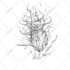 do dark art illustration