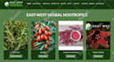 design and customize a wordpress website within 24 hours