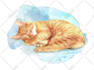 be ready for scientific watercolor illustration