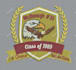 create high quality embroidery digitizing dst pes files from log