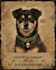 draw custom pet portrait, dog, cat portrait, royal, realistic, abstract artistic