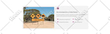 diseño de páginas webs profesionales, personalizadas y optimizadas