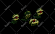 design and modeling assets in voxel art for games and nft