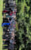 blur out or hide face , text and logo anything in video image