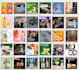 be your social media manager marketing with 1 post each day