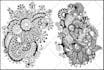 make vector line art or super detailed from your image