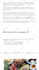 write SEO optimized articles and blogs posts