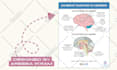 design lead magnet for coaches and wellness brands in canva