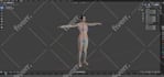 make any 3d model in blender for you