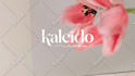 design minimalist elegant, chic, unique and memorable logo