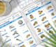 design amazing and outstanding product catalog