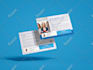 design professional postcard, eddm, direct mail or real estate postcard