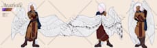 draw you a character reference sheet