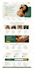 design or redesign a responsive wordpress website with elementor pro
